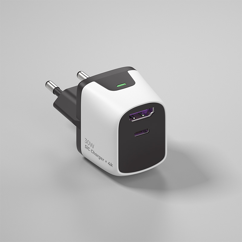 Mini 30W Dock